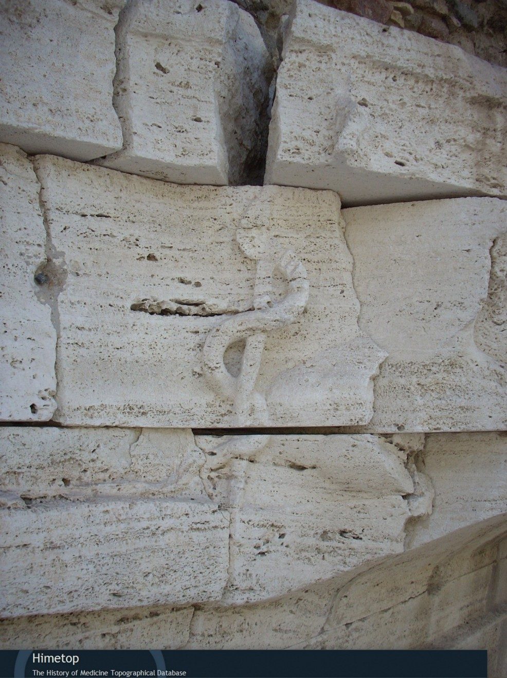 Asclepius rod and snake, Tiber Island, Rome - 03.jpg